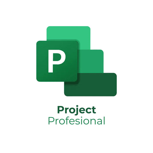 Project Profesional